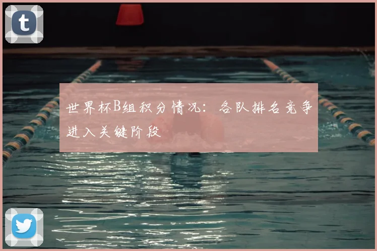 世界杯B组积分情况：各队排名竞争进入关键阶段
