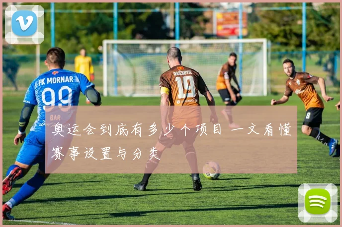 奥运会到底有多少个项目 一文看懂赛事设置与分类