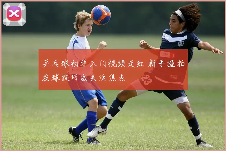 乒乓球初学入门视频走红 新手握拍发球技巧成关注焦点