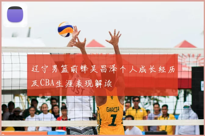 辽宁男篮前锋吴昌泽个人成长经历及CBA生涯表现解读